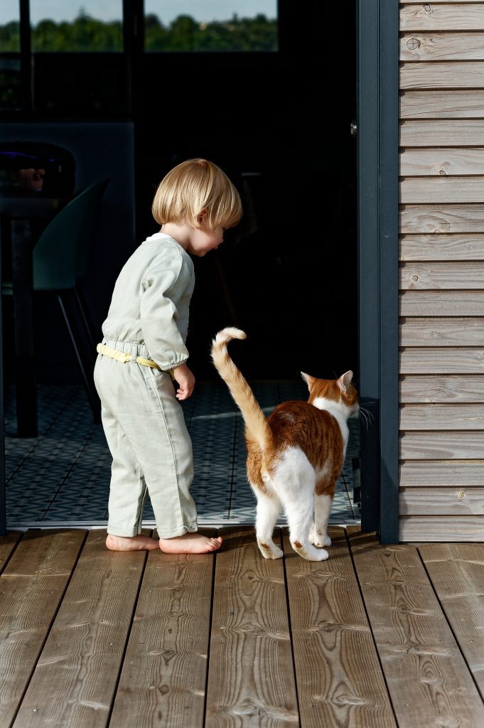 Un moment de complicité spontané entre un enfant et son chat sous le soleil de Normandie.